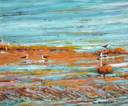 Gaviotas