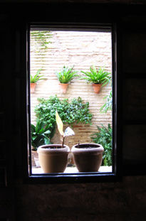 La ventana