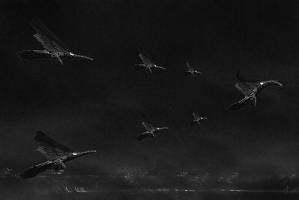Migrate