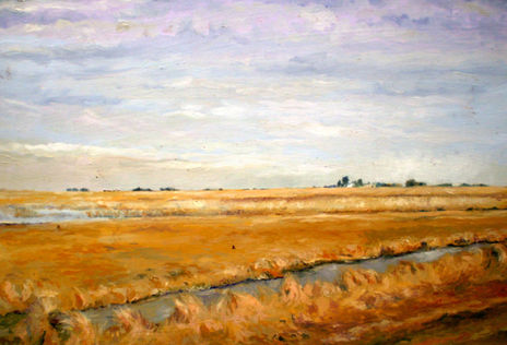 Campos secos