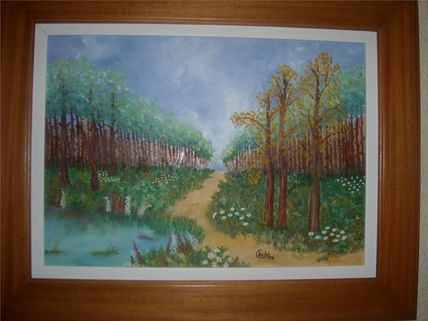 Paisaje bosque