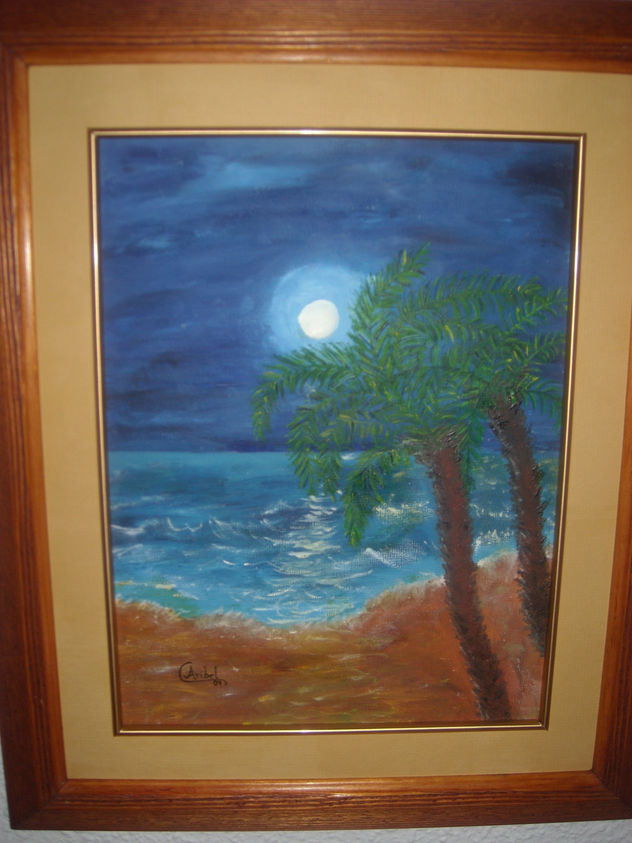marina nocturna