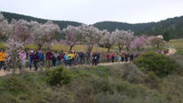 Entre almendros (ii)