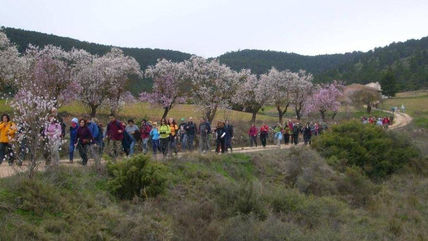 Entre almendros (ii)