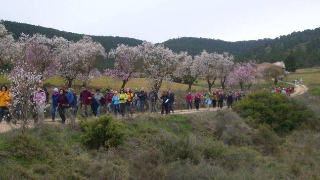 ENTRE ALMENDROS (II) 