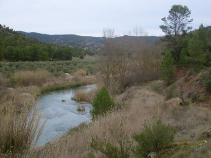 Agua de invierno