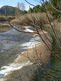 Espuma