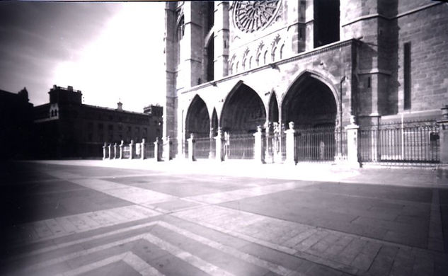 león Arquitectura e interiorismo Blanco y Negro (Química)