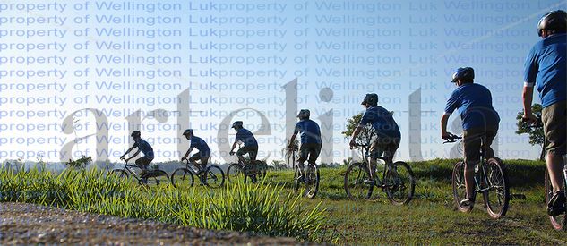 Wellington Luk - Mountain Bike Composition #1 - Photography Sport Color (Digital)