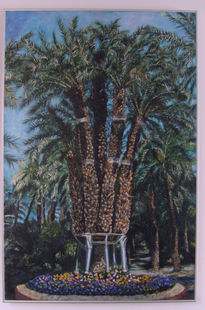 Palmera imperial