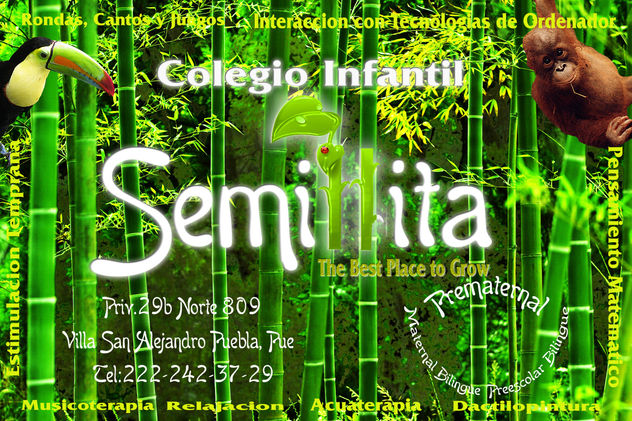 SEMILLITA COLLEGE