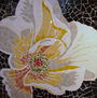 FLOR ABIERTA