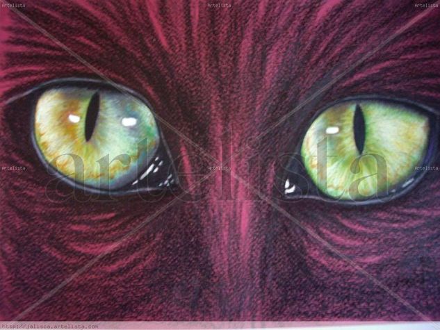 ojos 2 Pencil (coloured) Paper Others