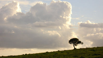 Soledad