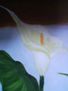 detail 3