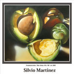 Silvio Martinez thumbnail 1