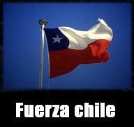 Fuerza Chile