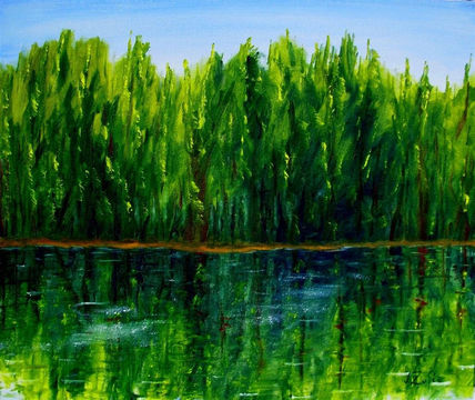Reflejos