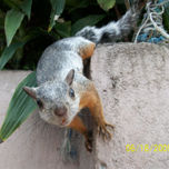 foto thumbnail 1