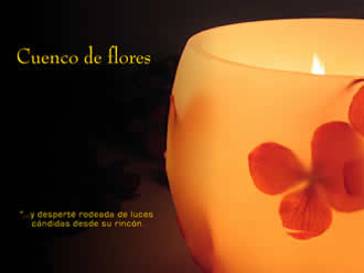 Cuenco de flores Velas Varios