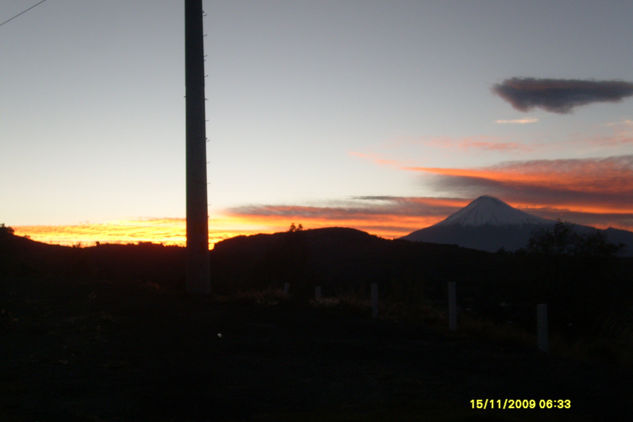 POPO EN SOLEDAD 