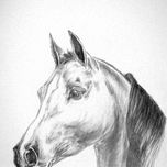 Caballos thumbnail 2