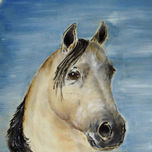 Caballos thumbnail 1