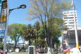 URBANISMO SEMISALVAJE