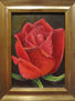 rosa después de lluvia
