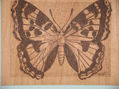 Mariposa