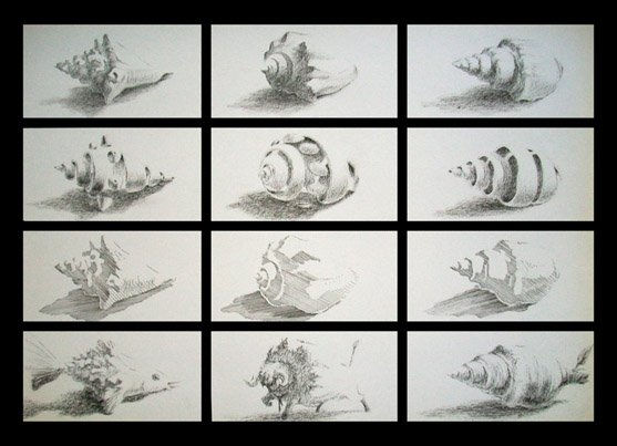 Morfologia de un caracol