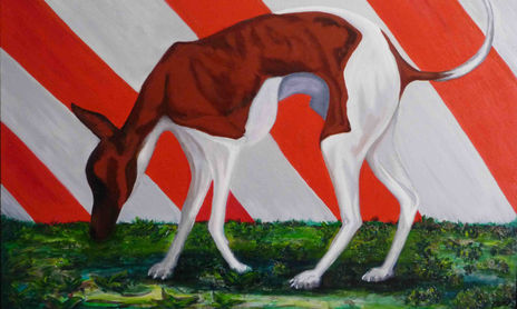 Serie Comercial-Pets.