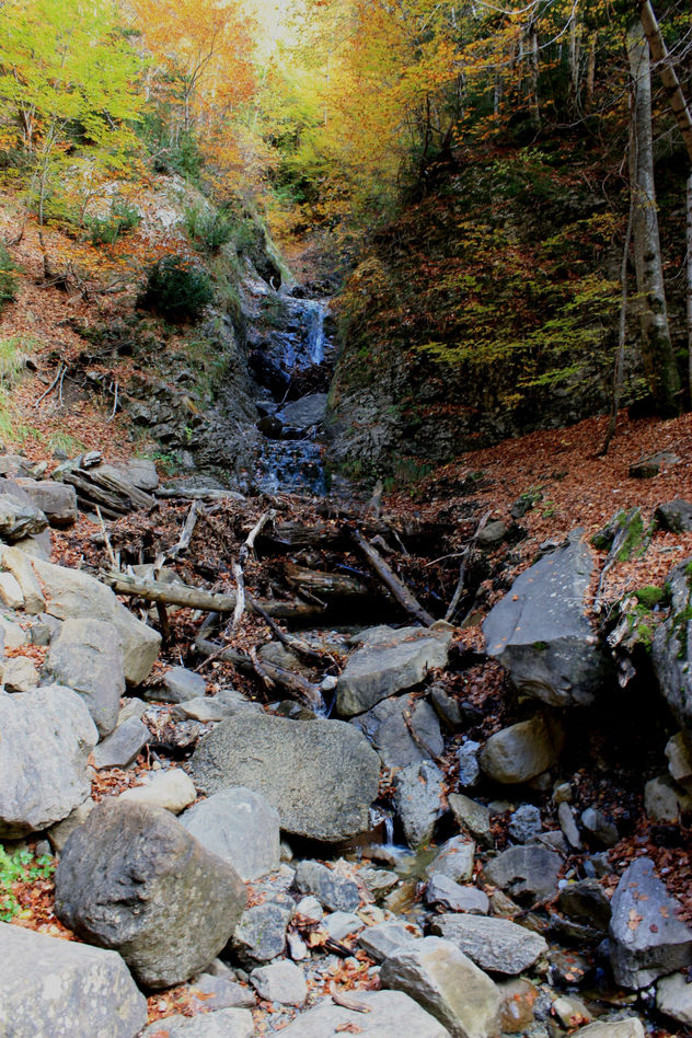 Agua y Vida IV