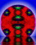 MANDALA NUEVO 19