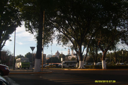 Adultos en concreto