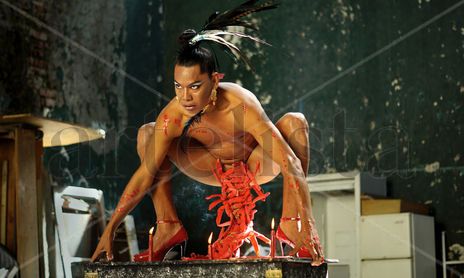 Performance Art, Fotografía.