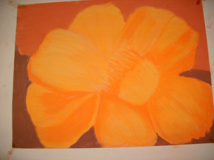 Sol en flor