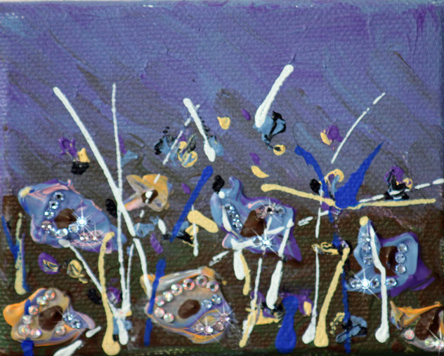 Blue Poppy Field Evening
