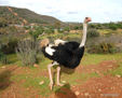 a volar..