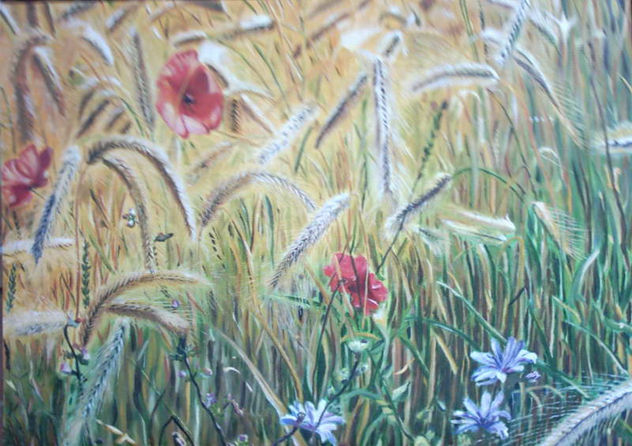 Amapolas