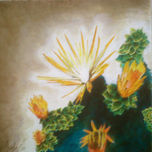Naturaleza thumbnail 2