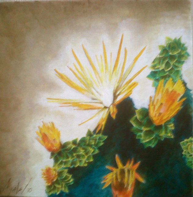 chuquiraqhua 2