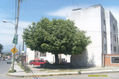 GIGANTE SOLITARIO I