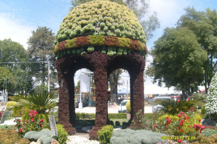 Cupula