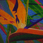 Serie La Naturaleza thumbnail 1
