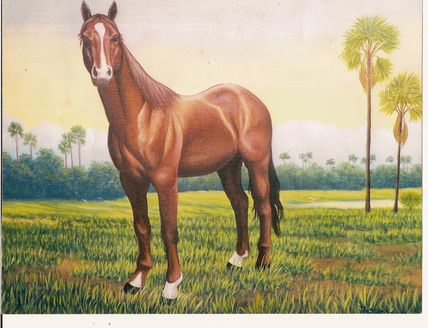 Caballo