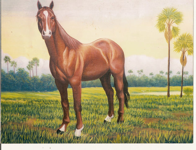 caballo