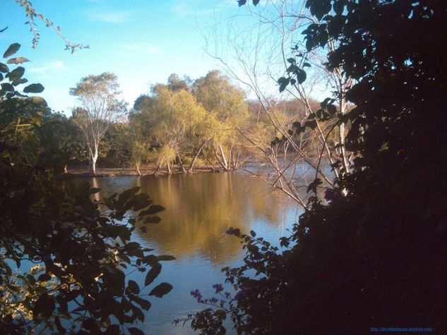 EN EL LAGO Nature Color (Digital)