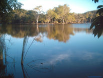 Lago tranquilo