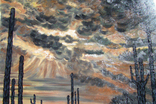 Amanecer en el desierto en gris